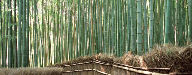 国内旅行で最もおすすめの時期